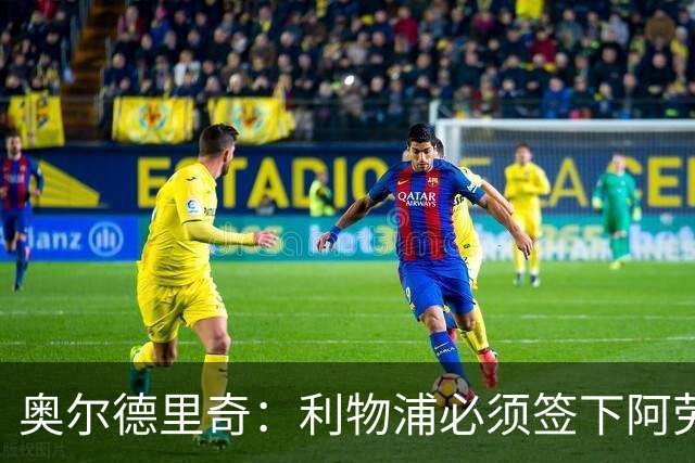 奥尔德里奇：利物浦必须签下阿劳霍